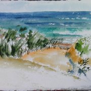 Costa del la Luz 2 24x302.JPG