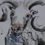 Widder 25X21 Aquarelll.JPG