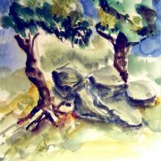 Kalogriastrand 26x20.JPG