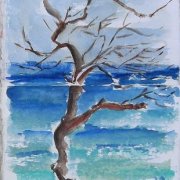 Playa Canyamel 62x24.JPG